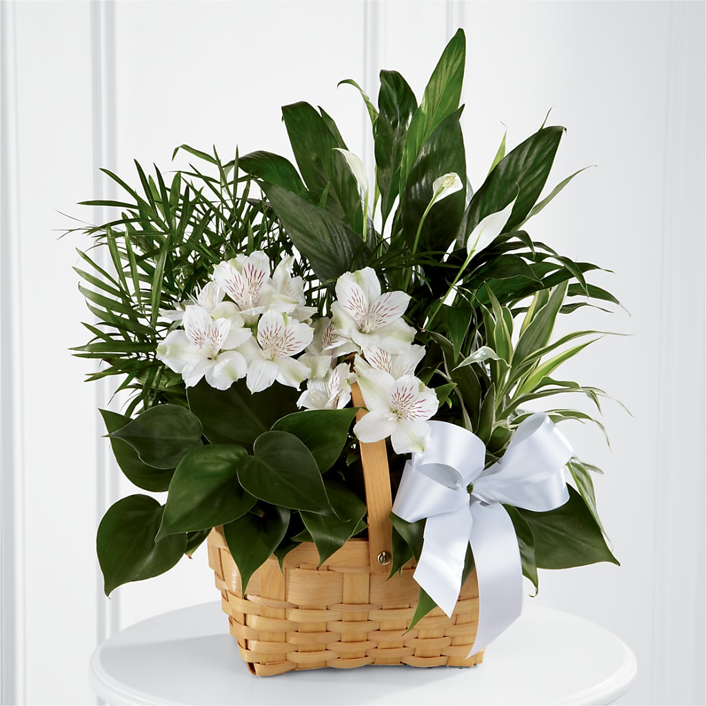 Peace & Serenity Dishgarden – Flowers That Cliq, La Verne CA