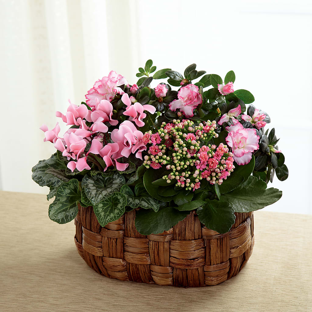 Pink Assortment – Flowers That Cliq, La Verne CA