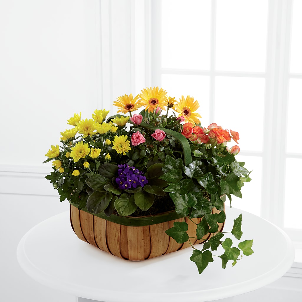 Gentle Blossoms Basket – Flowers That Cliq, La Verne CA