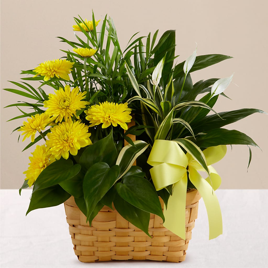 Loving Light Dishgarden – Flowers That Cliq, La Verne CA