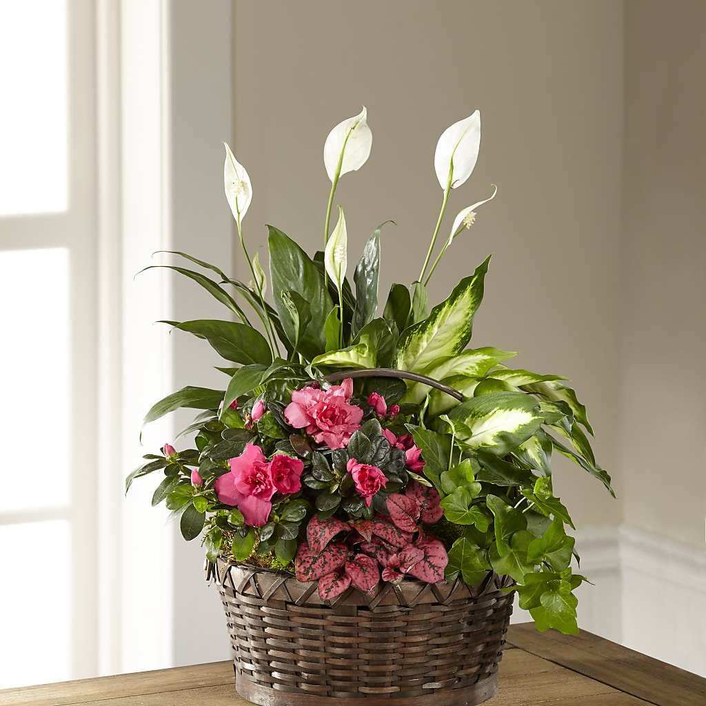 Dream in Pink Dishgarden – Flowers That Cliq, La Verne CA