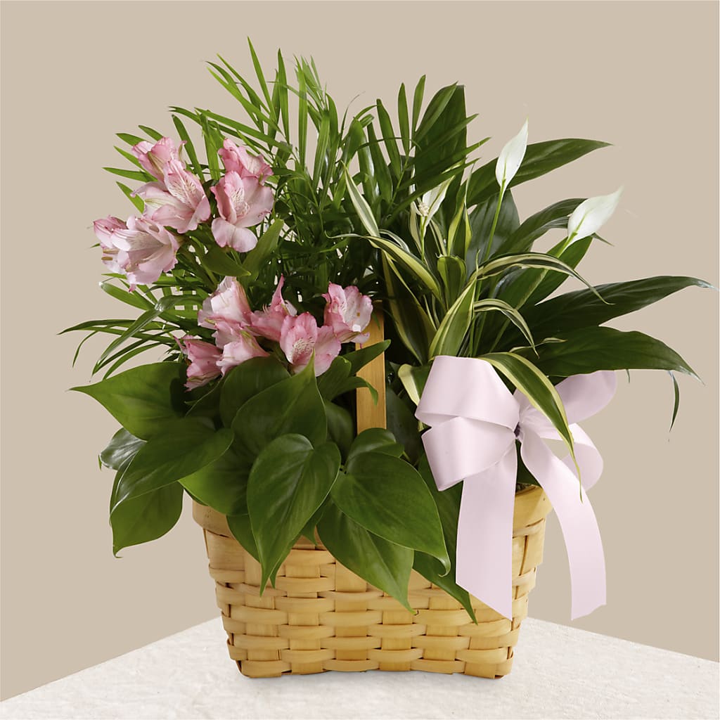 Living Spirit Dishgarden – Flowers That Cliq, La Verne CA