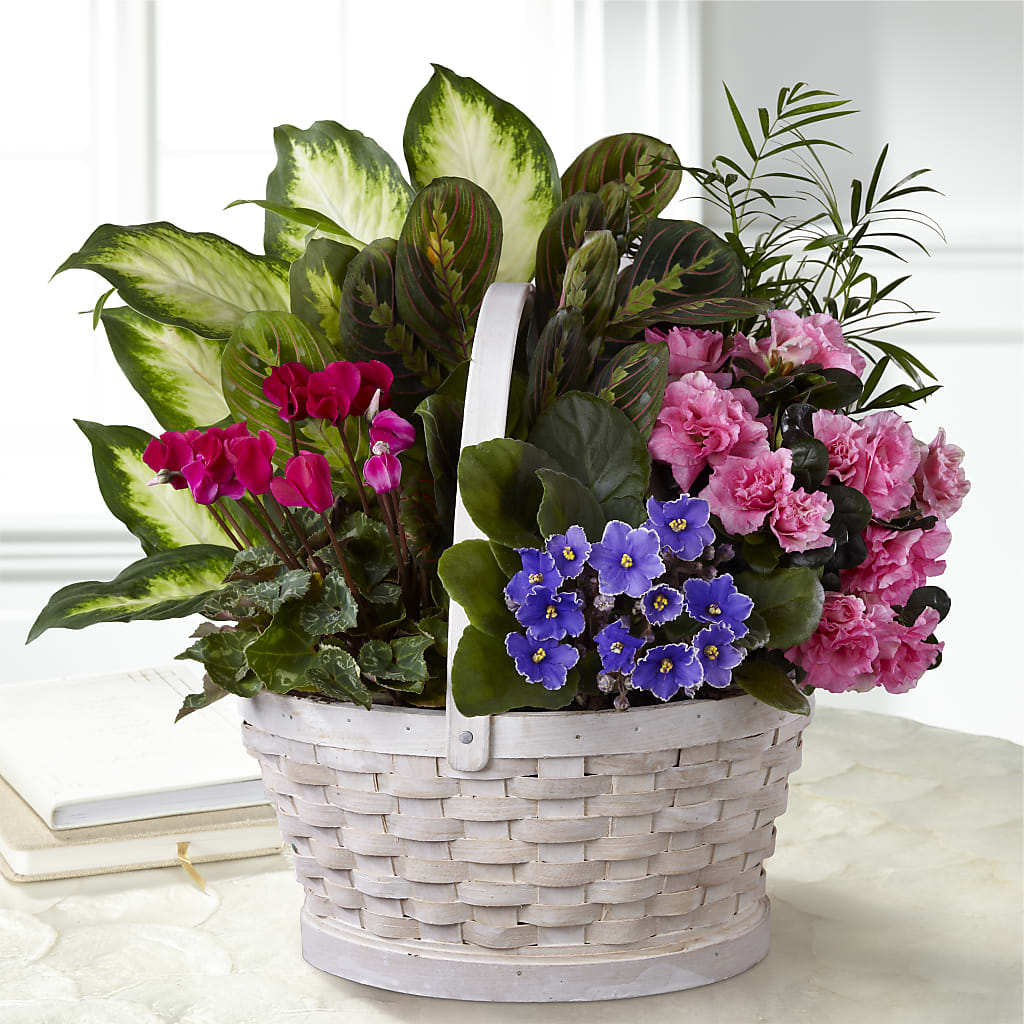 Peaceful Garden Planter – Flowers That Cliq, La Verne CA