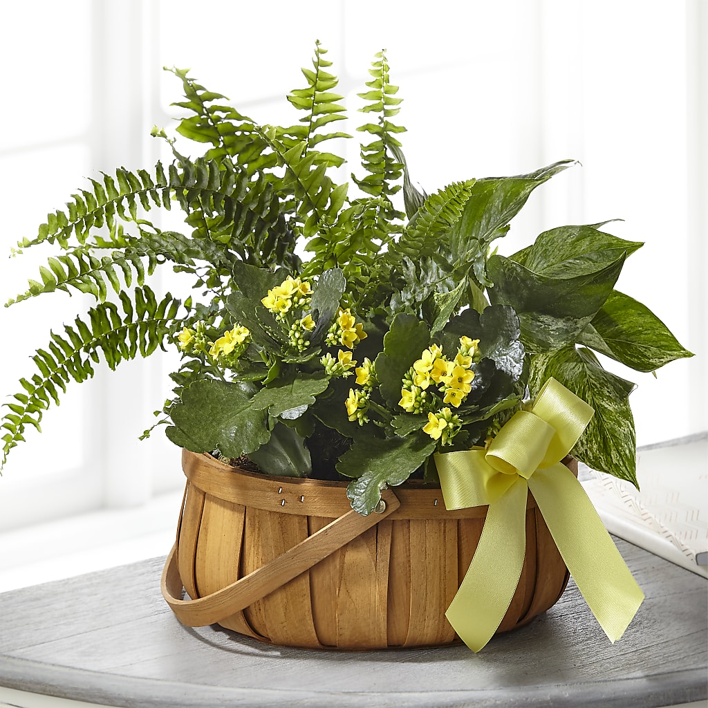 Always Dear Dishgarden – Flowers That Cliq, La Verne CA