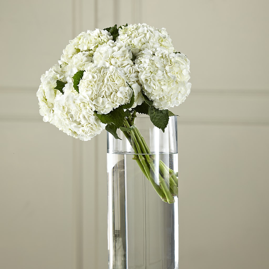 White Hydrangea Hand-Tied Bouquet – Flowers That Cliq, La Verne CA