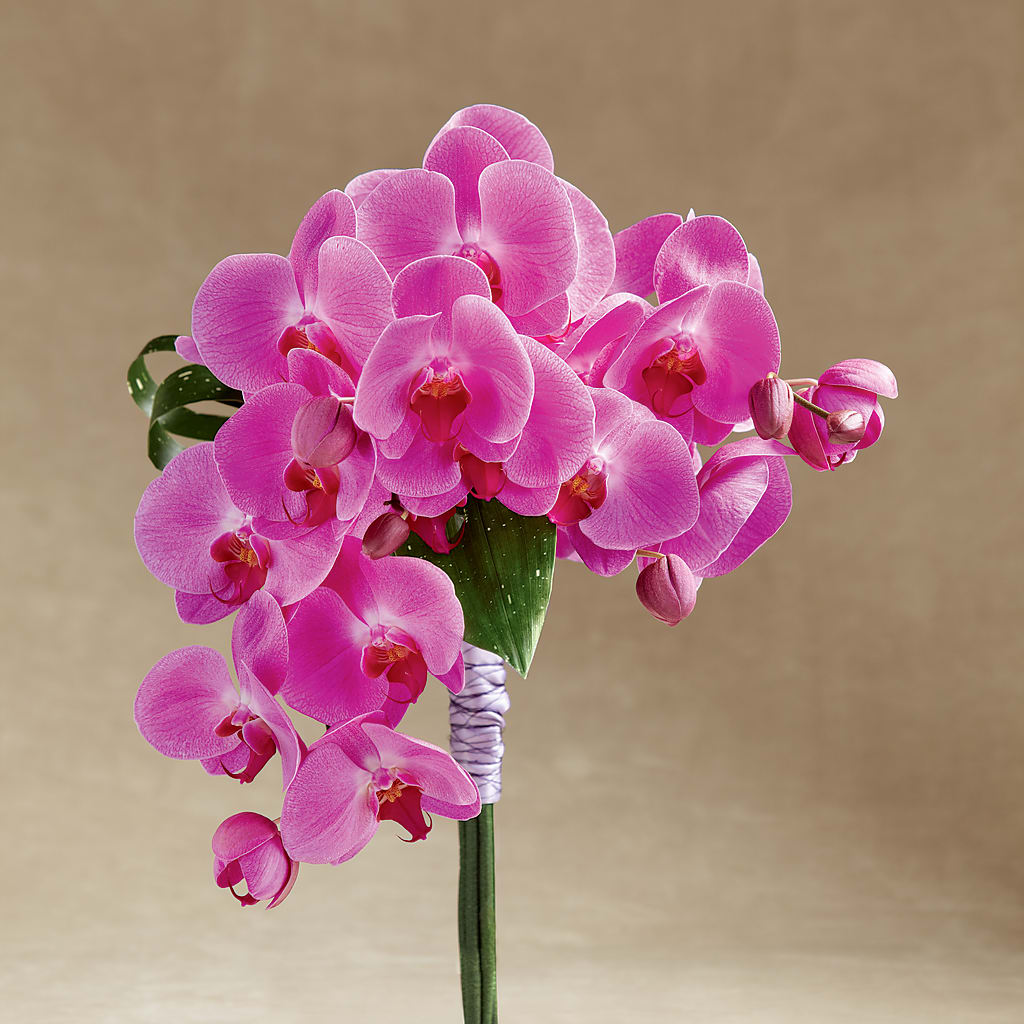 Glorious Bouquet – Flowers That Cliq, La Verne CA