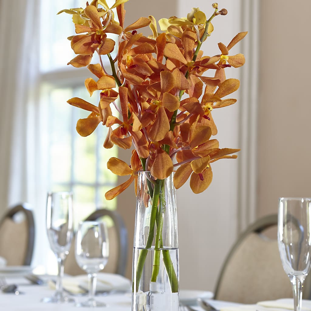 Orange Mokara Bud Vase – Flowers That Cliq, La Verne CA