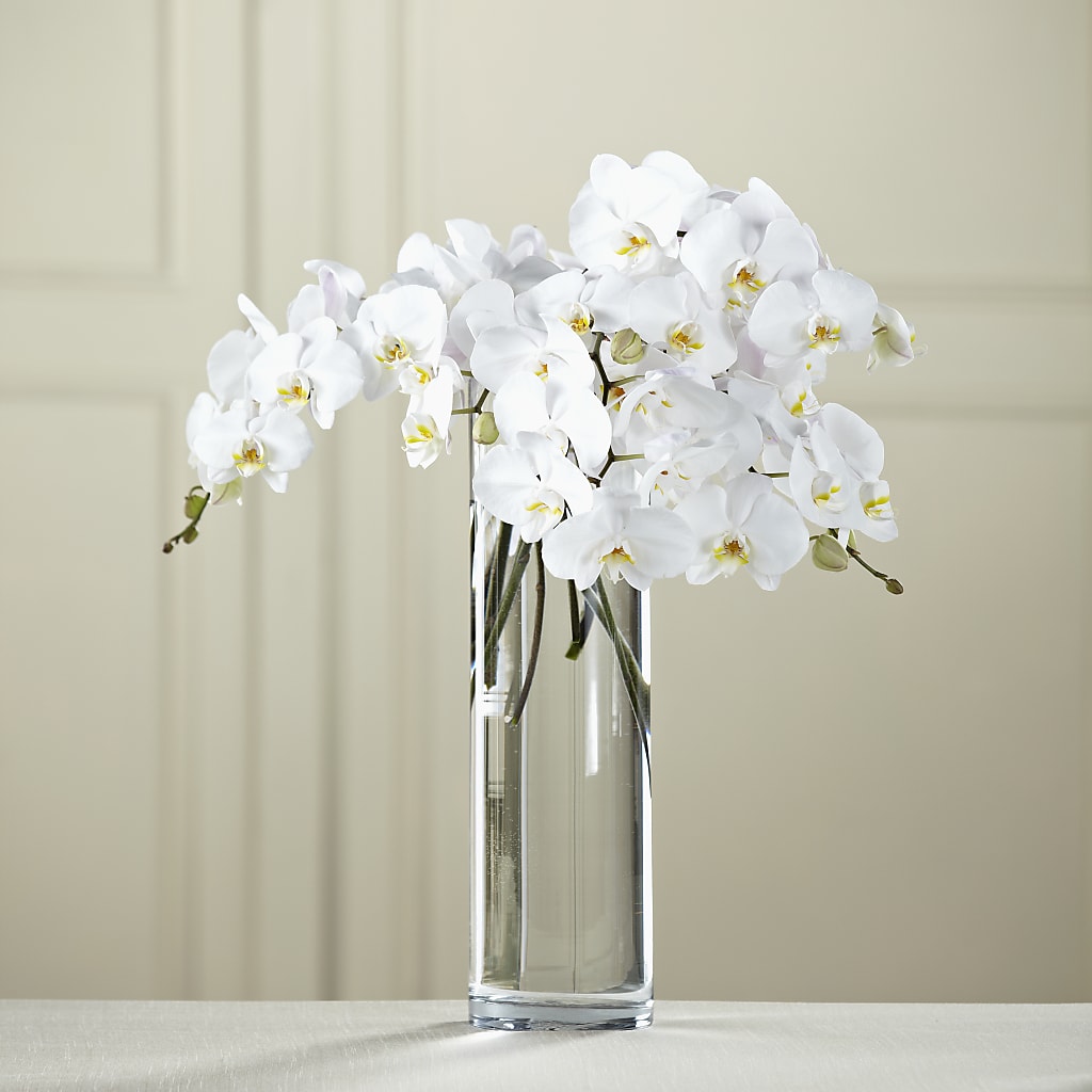 White Phalaenopsis Bouquet – Flowers That Cliq, La Verne CA