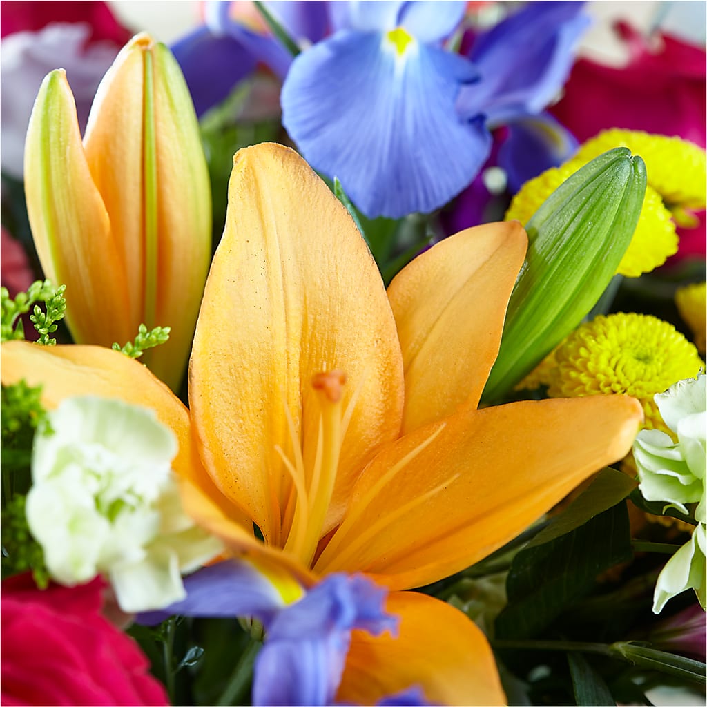 Bold & Bright – A Florist Original –  Flowers That Cliq, La Verne CA
