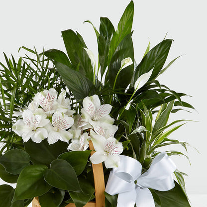 Peace & Serenity Dishgarden –  Flowers That Cliq, La Verne CA