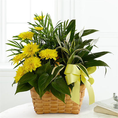 Loving Light Dishgarden –  Flowers That Cliq, La Verne CA