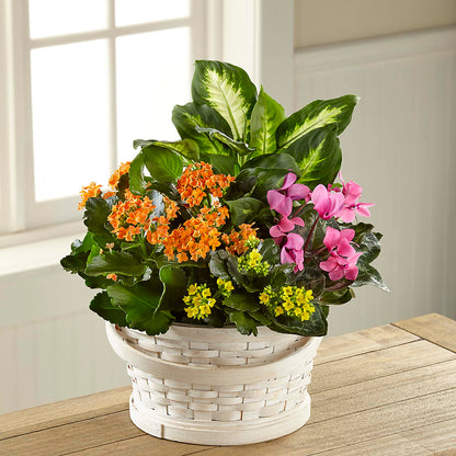 Color Crush Dishgarden –  Flowers That Cliq, La Verne CA