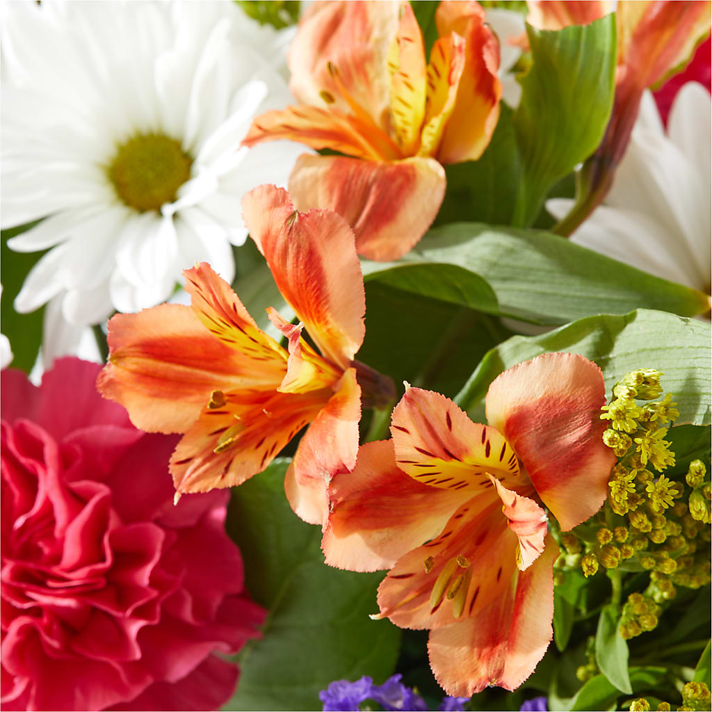 Oopsie Daisy Box Bouquet –  Flowers That Cliq, La Verne CA