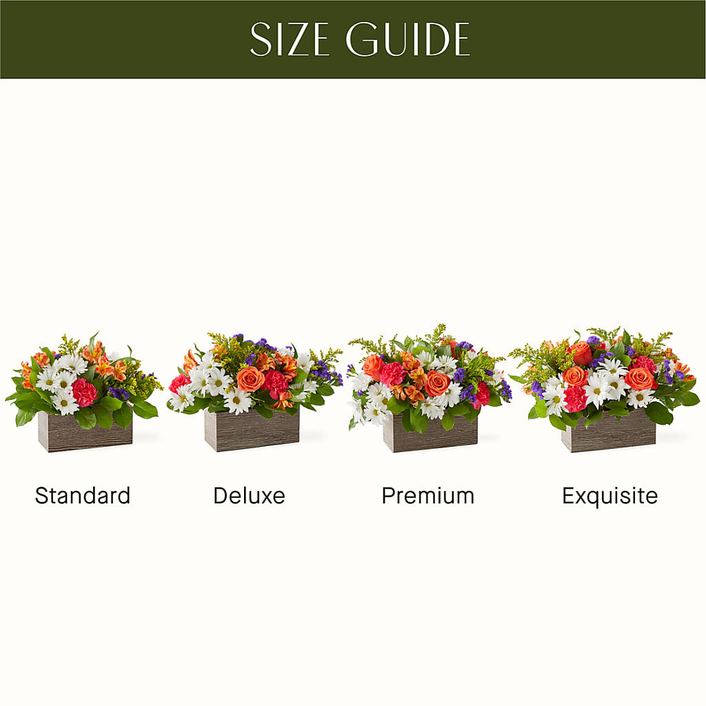 Oopsie Daisy Box Bouquet –  Flowers That Cliq, La Verne CA