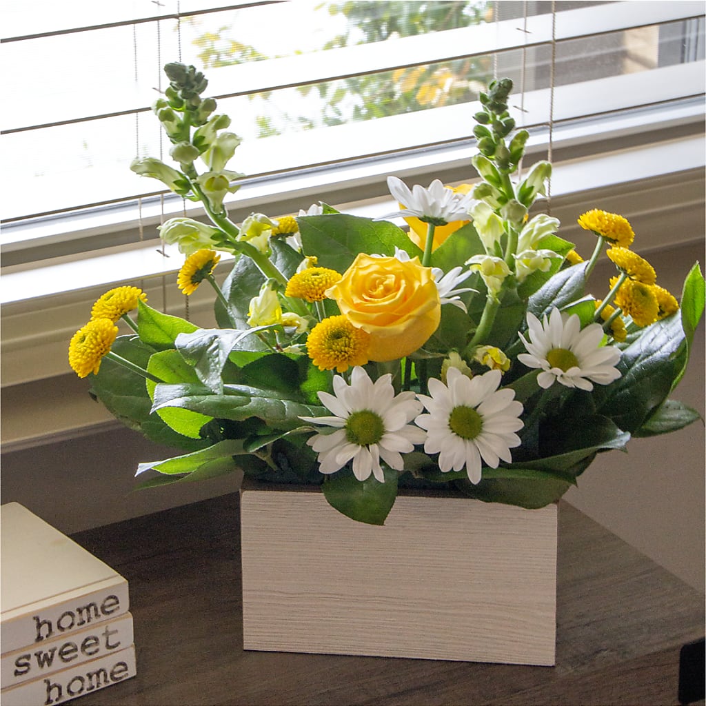 Sun Salutation Box Bouquet –  Flowers That Cliq, La Verne CA