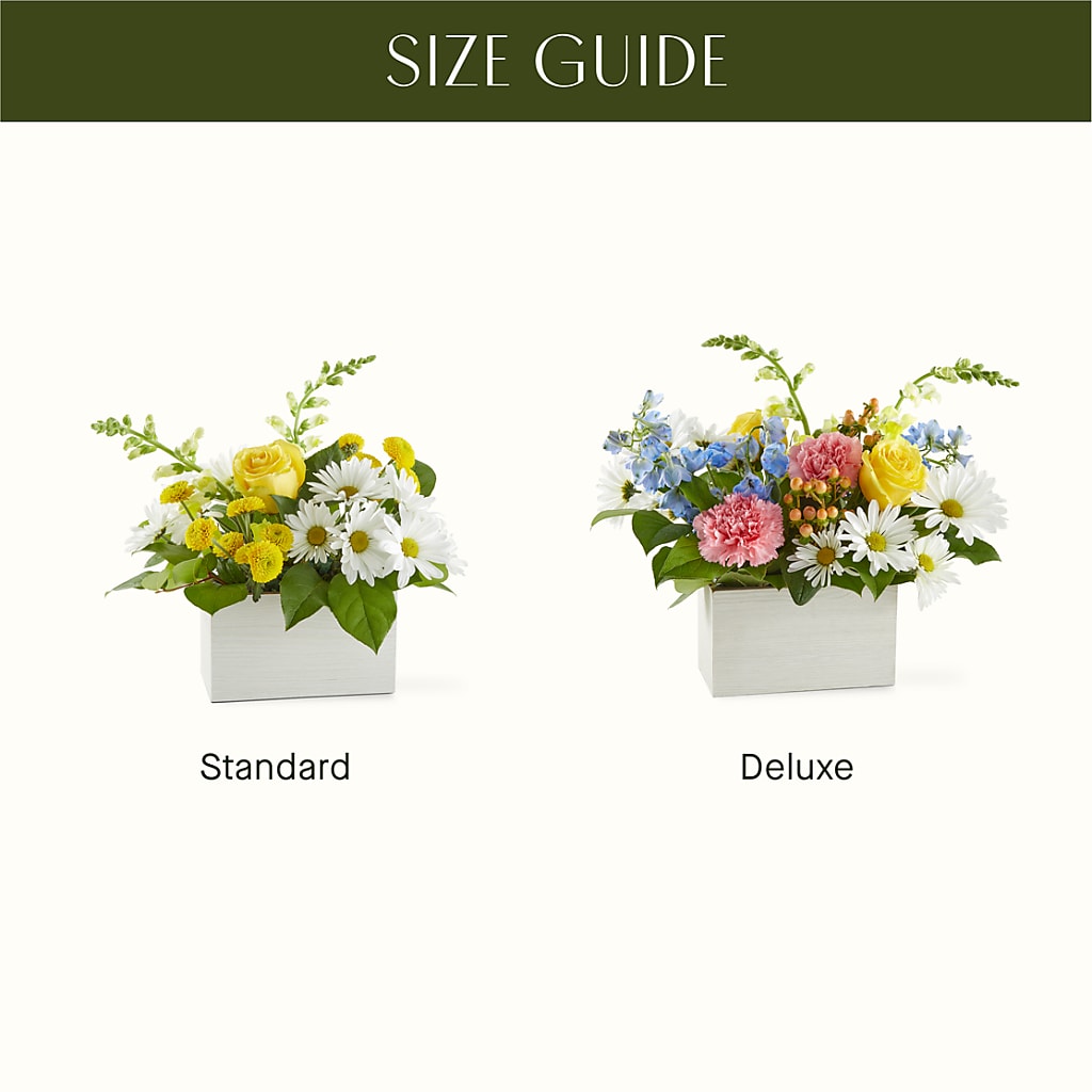Sun Salutation Box Bouquet –  Flowers That Cliq, La Verne CA