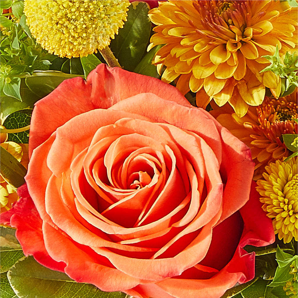 Gourdgeous Pumpkin –  Flowers That Cliq, La Verne CA