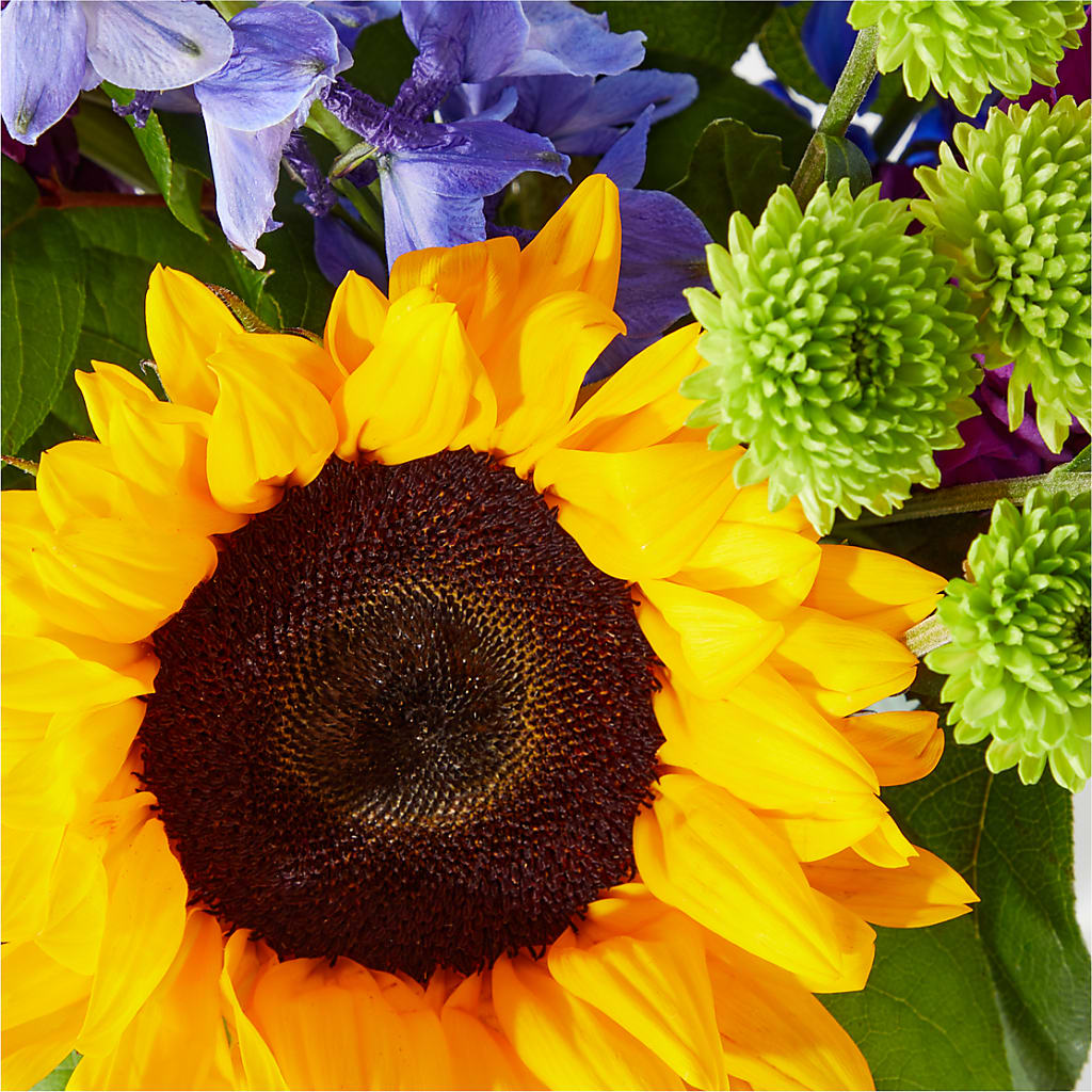 Catching Rays Bouquet –  Flowers That Cliq, La Verne CA