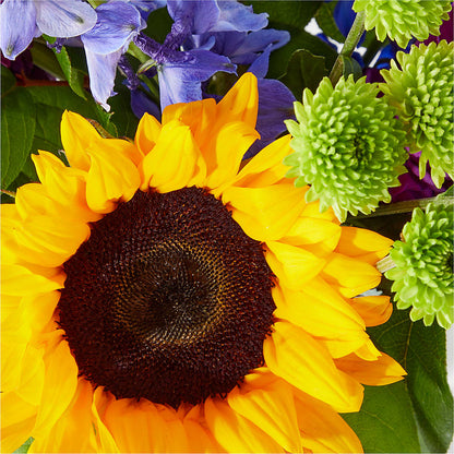 Catching Rays Bouquet –  Flowers That Cliq, La Verne CA