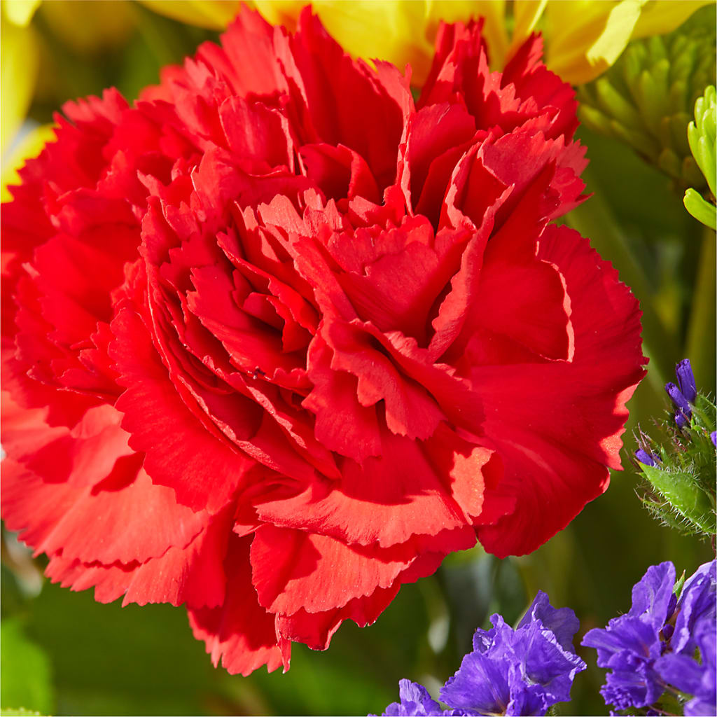 Brighter Days Bouquet –  Flowers That Cliq, La Verne CA
