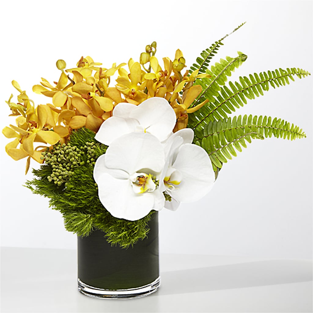 The Tropics –  Flowers That Cliq, La Verne CA