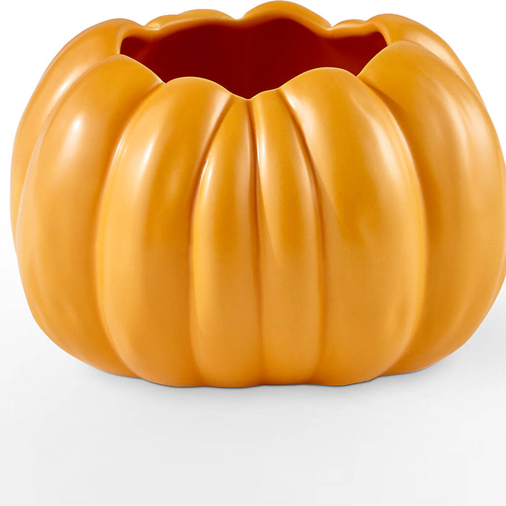 Golden Gourd Pumpkin Bouquet –  Flowers That Cliq, La Verne CA