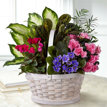 Peaceful Garden Planter –  Flowers That Cliq, La Verne CA