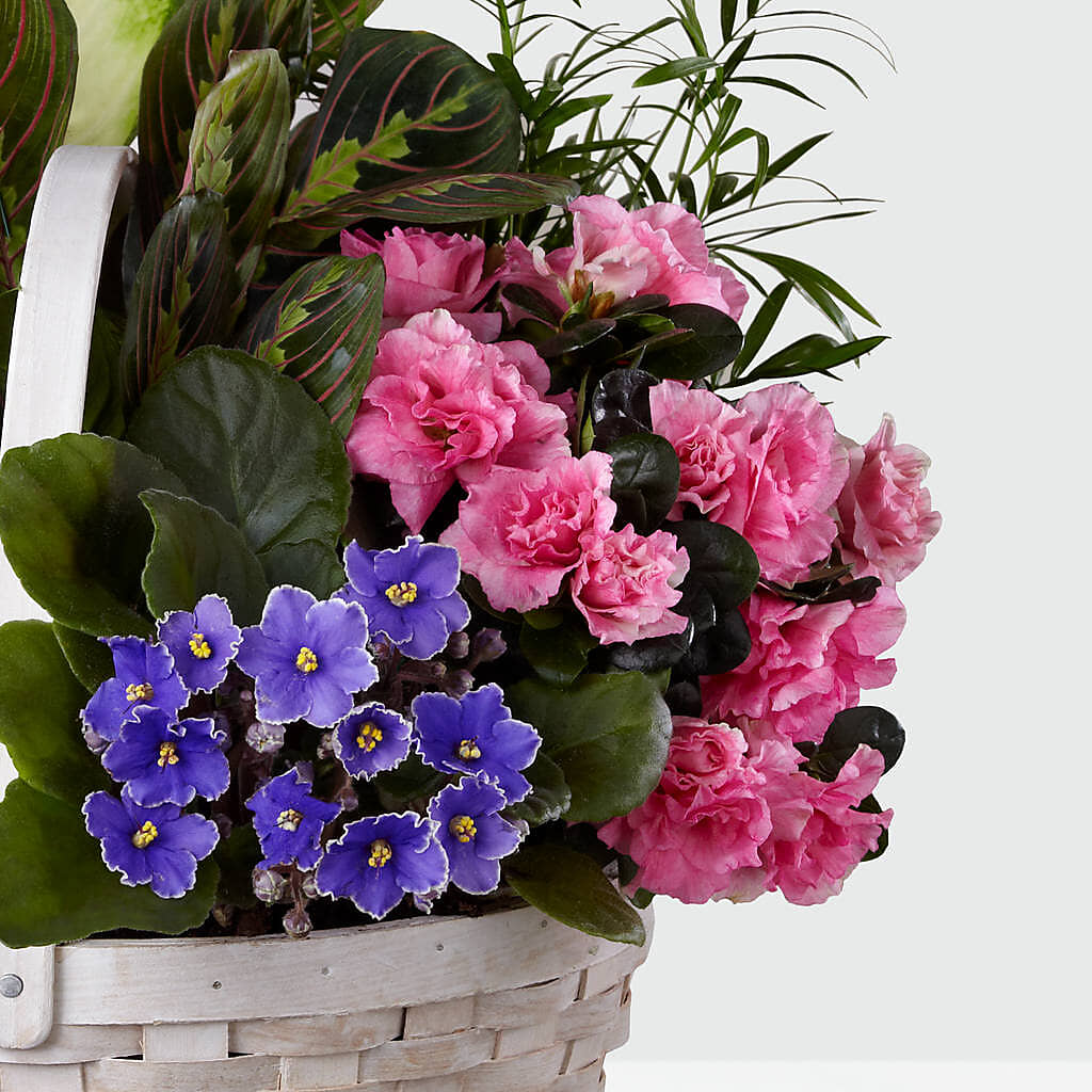 Peaceful Garden Planter –  Flowers That Cliq, La Verne CA