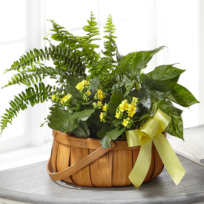 Always Dear Dishgarden –  Flowers That Cliq, La Verne CA