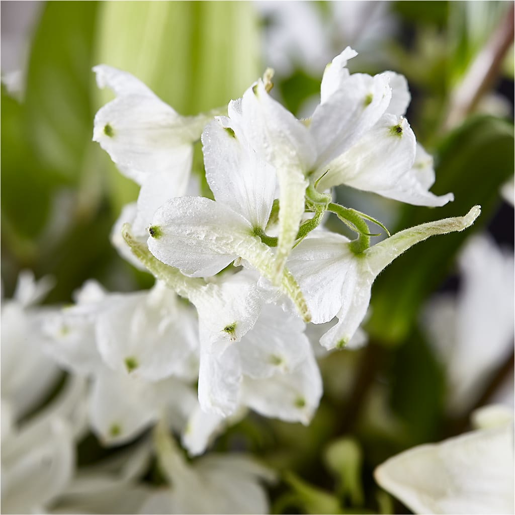 Classic Ivory – A Florist Original –  Flowers That Cliq, La Verne CA