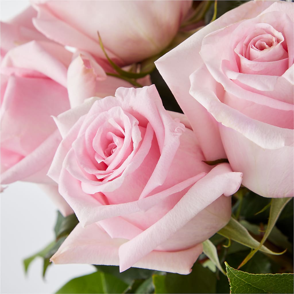 Picture Perfect Pink Rose Bouquet –  Flowers That Cliq, La Verne CA