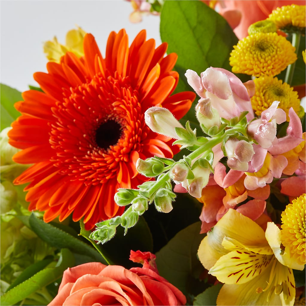 Autumn Sunshine Bouquet –  Flowers That Cliq, La Verne CA