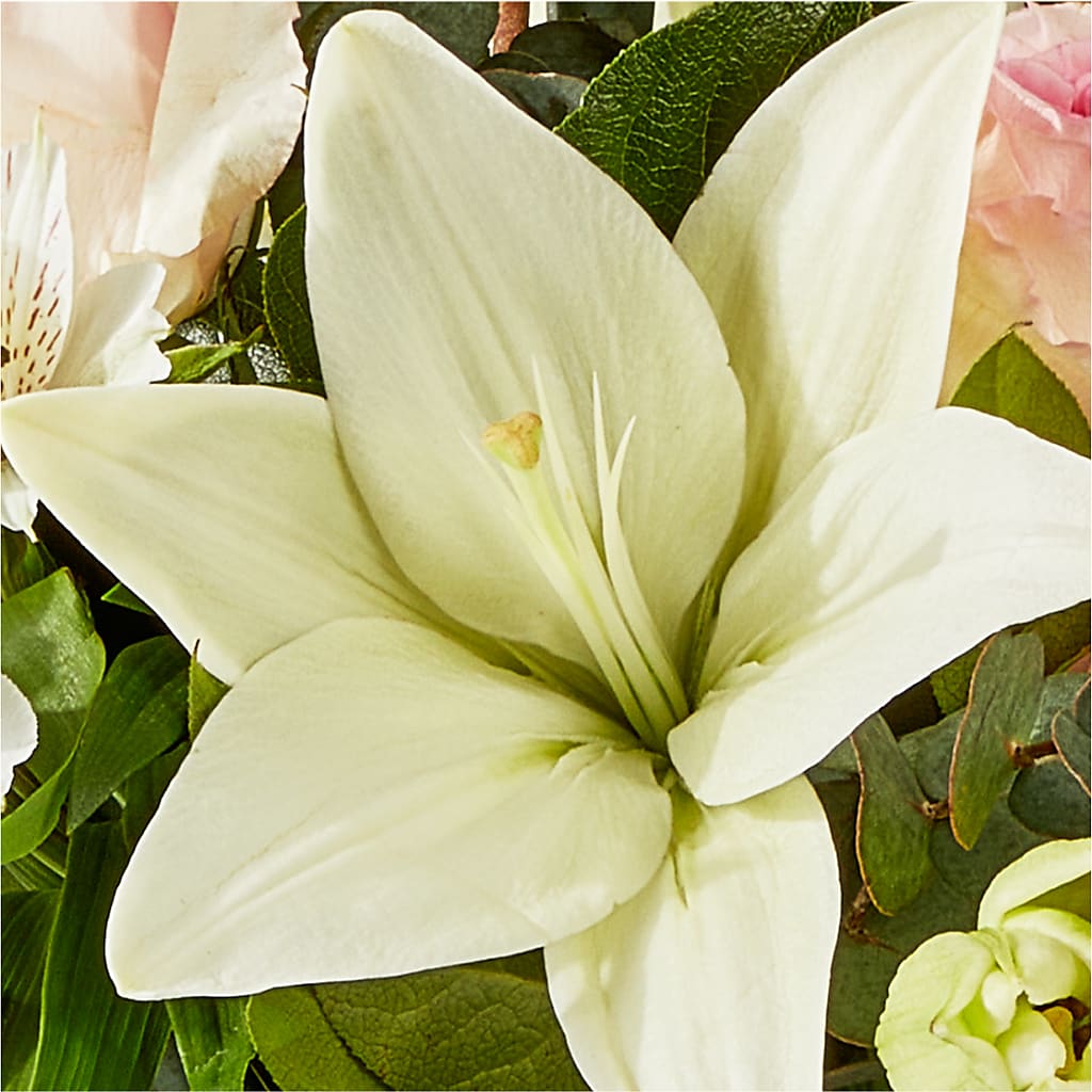 Ballet Slippers Bouquet –  Flowers That Cliq, La Verne CA