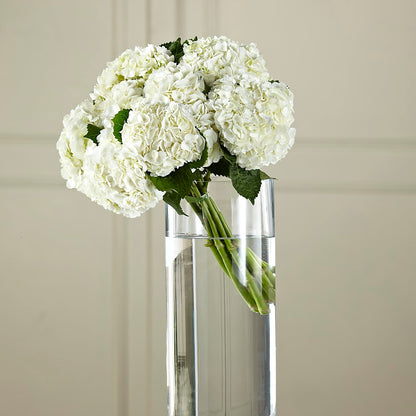 White Hydrangea Hand-Tied Bouquet –  Flowers That Cliq, La Verne CA