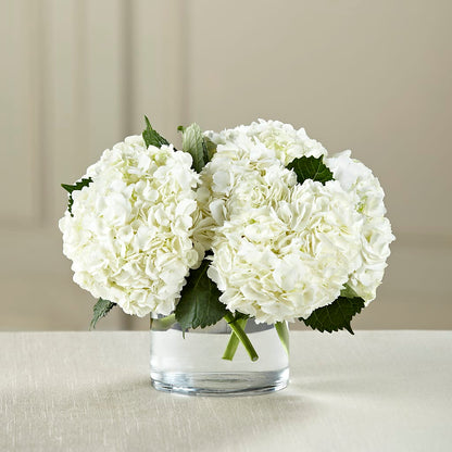 White Hydrangea Bouquet –  Flowers That Cliq, La Verne CA