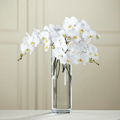 White Phalaenopsis Bouquet –  Flowers That Cliq, La Verne CA